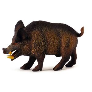 COLLECTA Diviak