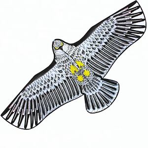 SPORTO Lietajúci drak - orol