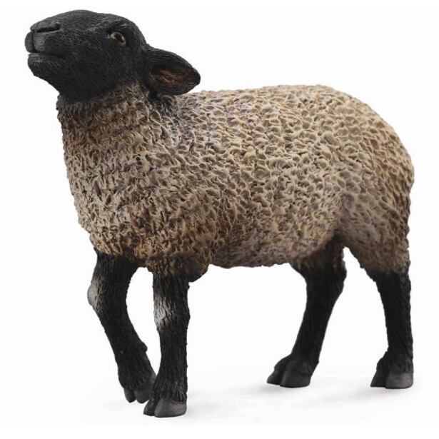 COLLECTA Ovca Suffolk